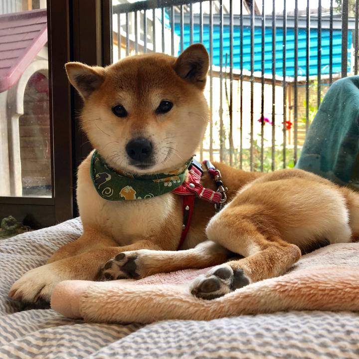 21ae6122 0e64 443c b26c 76d7d982a424 1524021004322