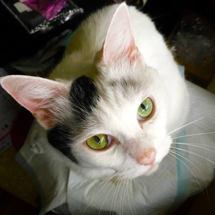 21ae7ead a158 4539 9527 f1ef620f12f9 1568604097806