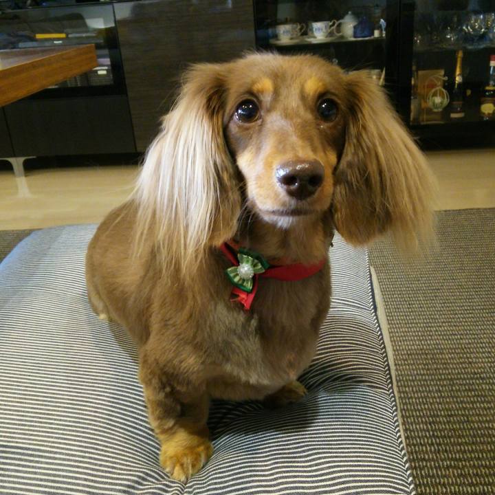 21ae816a 2db3 4b34 9c86 f42a6778e64e 1543645958794