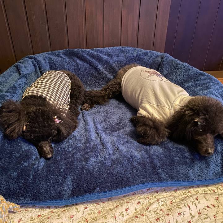 21ae8ff1 99b0 4ac8 bc24 ab942b5389cc 1605954208674