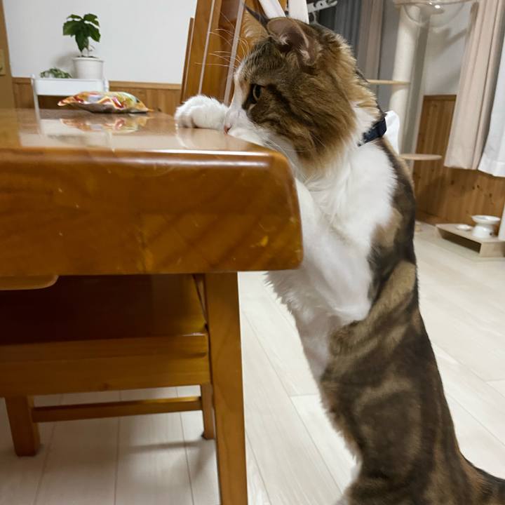 21aec662 bcaf 4812 9fc1 b3a7231ba50f 1661259888858