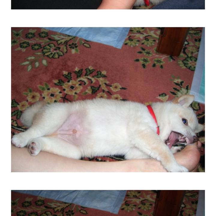 21aefd51 92e7 47d1 9e92 c9394cbacacc 1669826158376