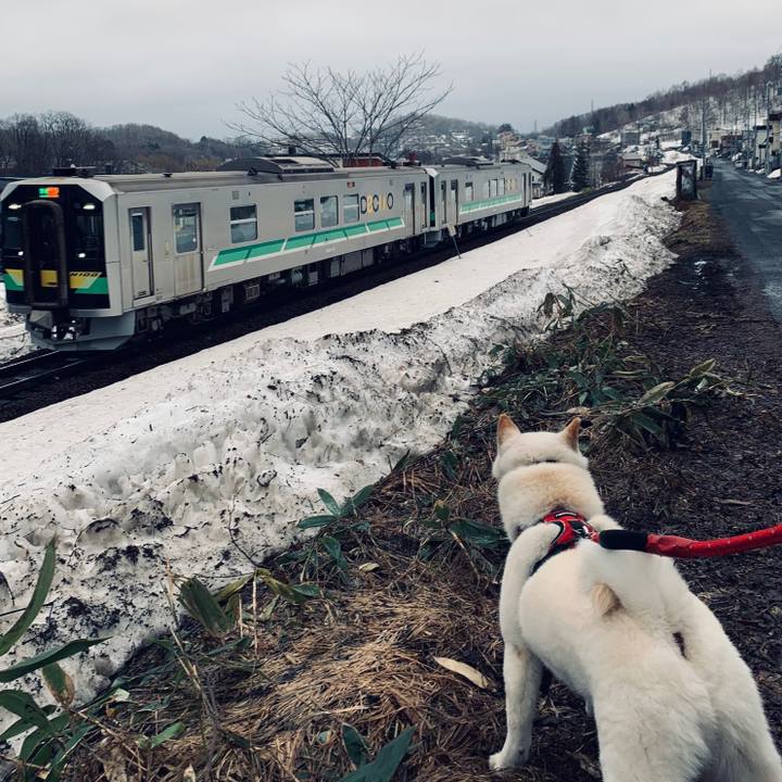 21af303d b233 4969 9055 62da094a3eb7 1679610504155