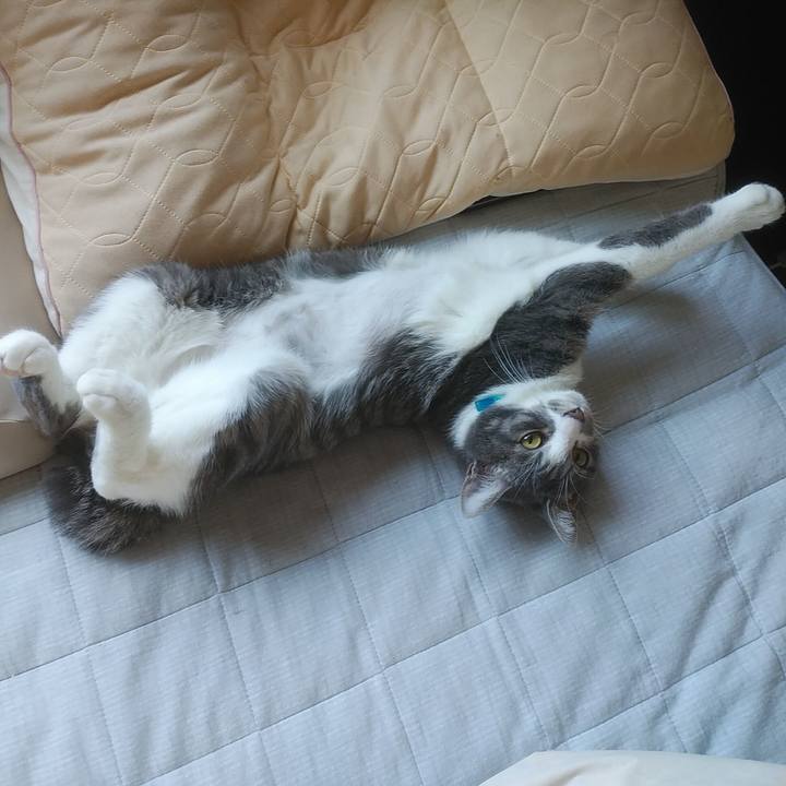 21af3c78 3930 4c3b bb36 cd8b332b5aa1 1587692261594