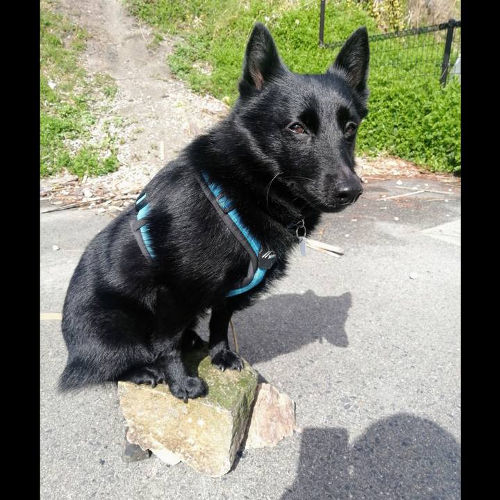 21af43d5 b61c 46e8 ba00 74e95bdb36eb 1648340656572