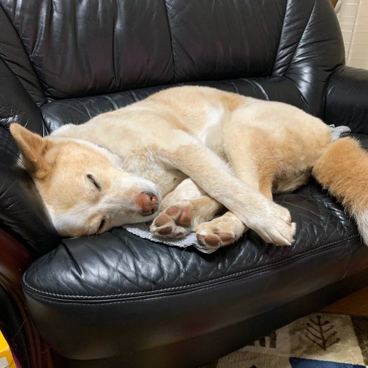 21af6898 5a7a 4414 a497 6ce82c52370e 1587135197341