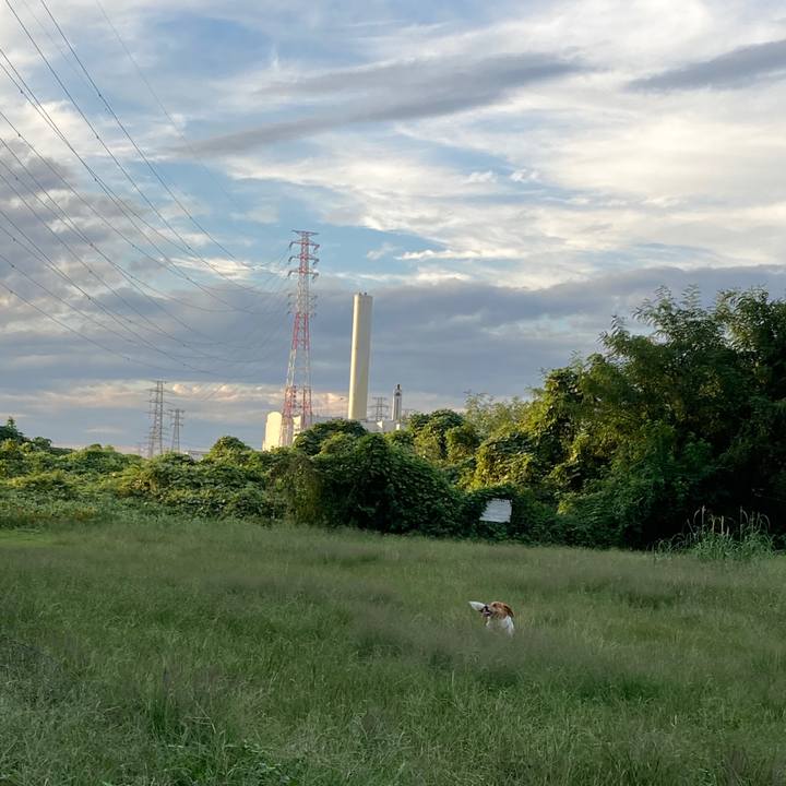 21af7acc 70e1 443b 9b56 16f5df304b16 1729037655198