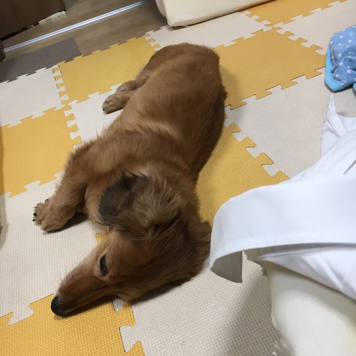 21af9e02 1400 4ceb 809a 7c296bb77af1 1534684729303