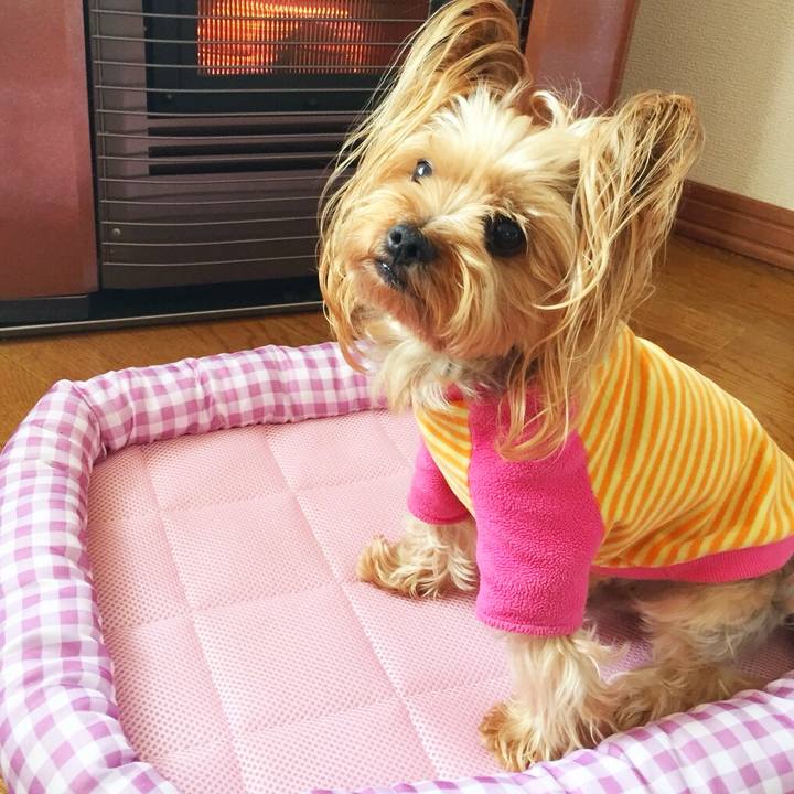 21afb343 f78a 47b2 bf5e fe3e39302031 1530832350268