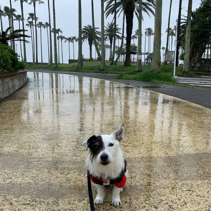 21afb6ee fcd4 4c48 906e 9d3d25052578 1684545138858