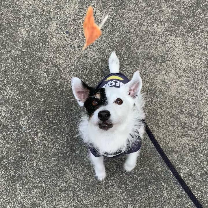 21affe20 d236 4894 85f1 3b7f807db529 1717373919410