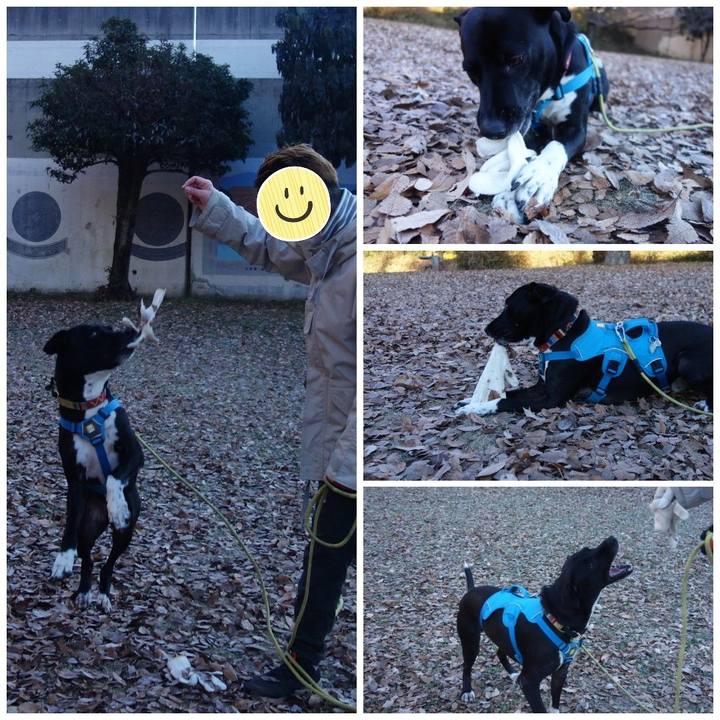 21b024a2 17d9 4b97 aab0 f2fd46930dfe 1608510196163