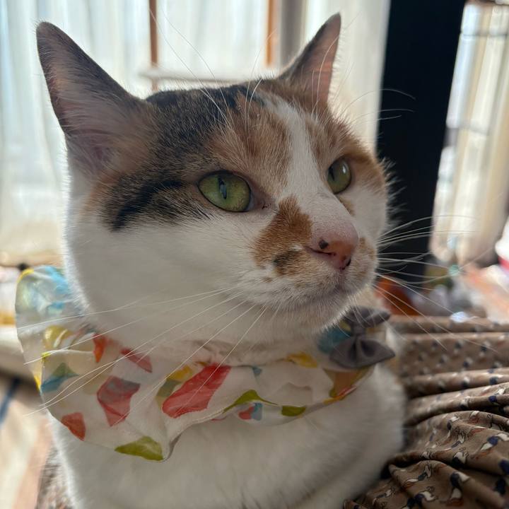 21b05c12 ac48 434c acfc bc43477efe3a 1771738419871