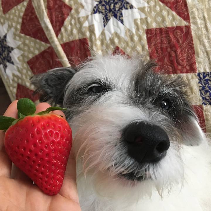 21b062b5 08f6 4758 90d4 c74521bce3ca 1582239622080