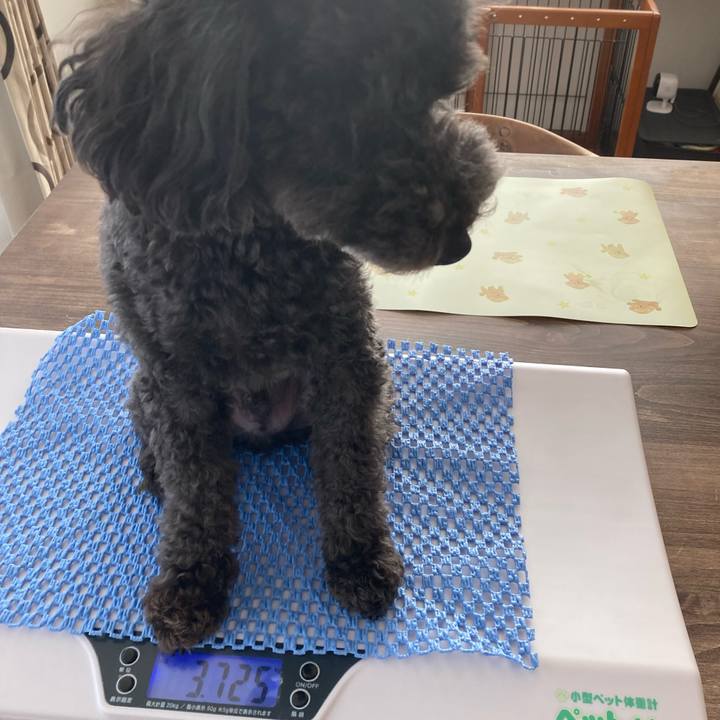 21b06743 45f6 4c24 ac36 c926a2ce80a0 1630939728003