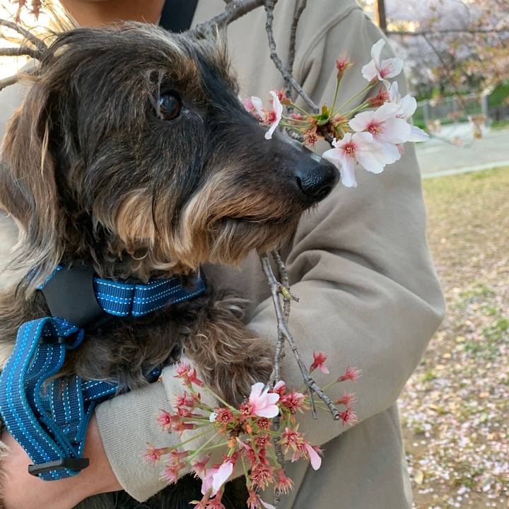 21b06a32 7a82 4ce6 b8c8 59d7074cf905 1586582431989