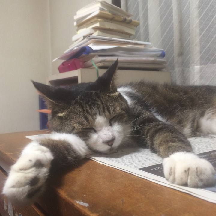 21b0c371 e98b 45da 8a1b 1dccbd94dba0 1564064916050