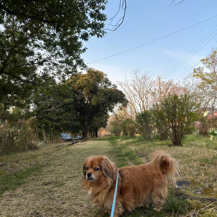 21b0c5c3 57cf 48d8 8818 747425e9ffec 1744063673468