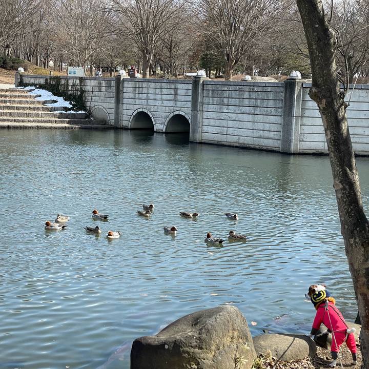 21b0d3cd ef40 48a5 a808 977ca502c627 1646642258211