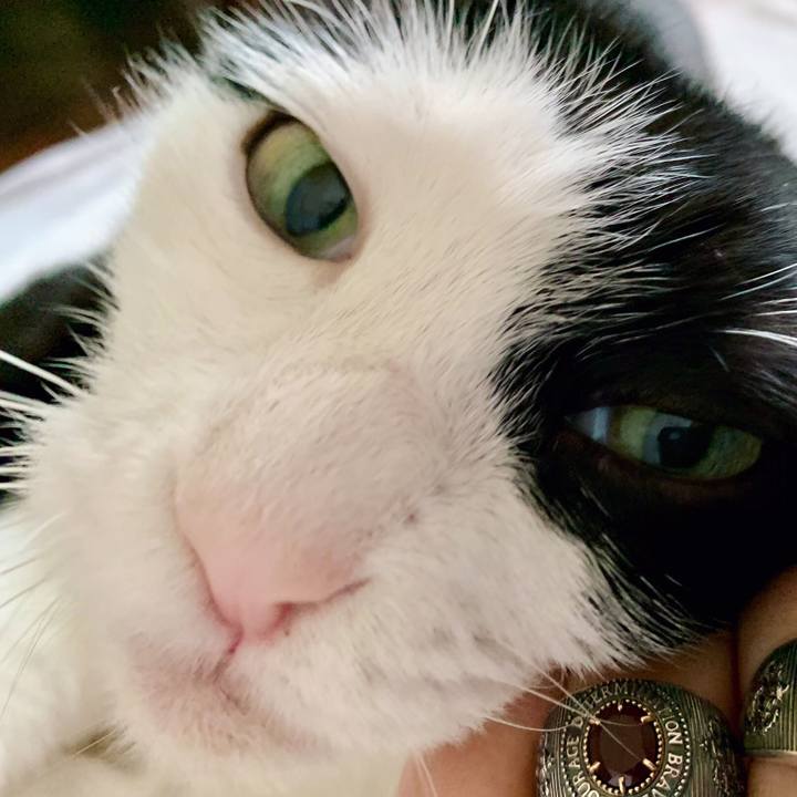 21b0d802 1f34 4e36 bcf0 08ed65531c78 1687656371165