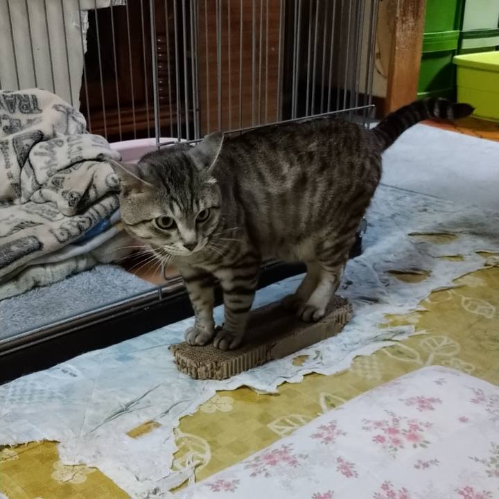 21b0e620 d88a 41c5 ba32 486726f630f5 1594299542542