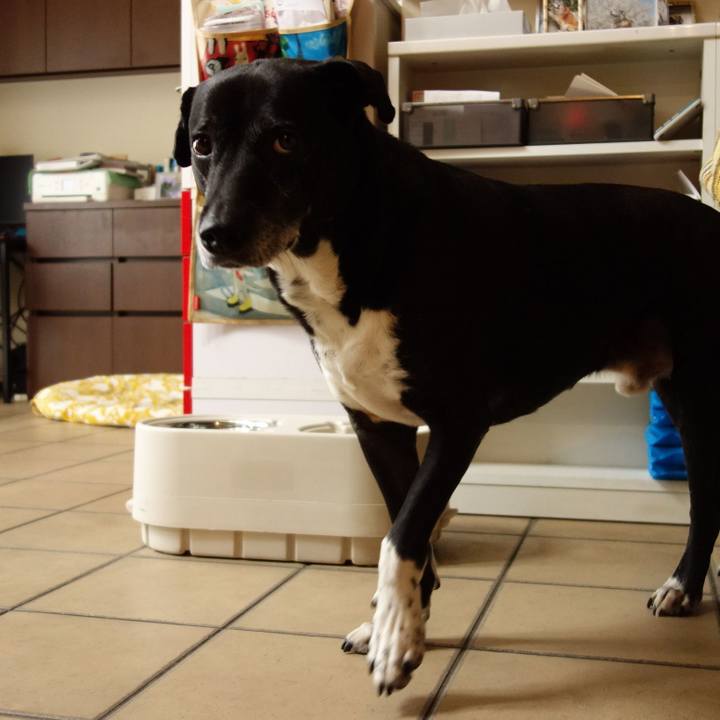 21b0edd9 e384 4a4f b91a 08a7a9024d31 1748312232102