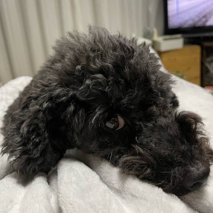 21b1462a cd83 497b a4ff 9ac3e8451963 1670064222057