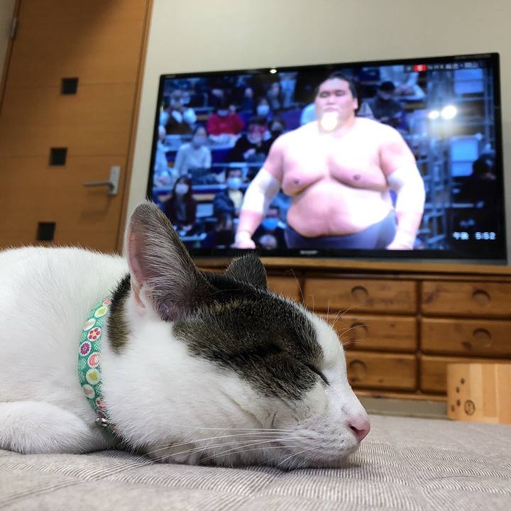 21b15672 6705 4550 8ace cc76a777f8db 1636966456212