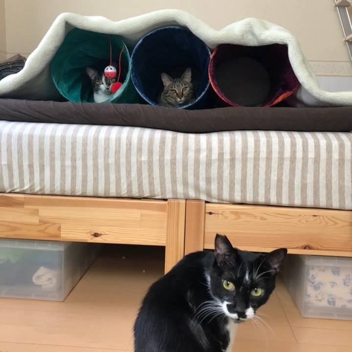 21b15c05 e125 4f8c 86df a64bdde55f73 1558528754872