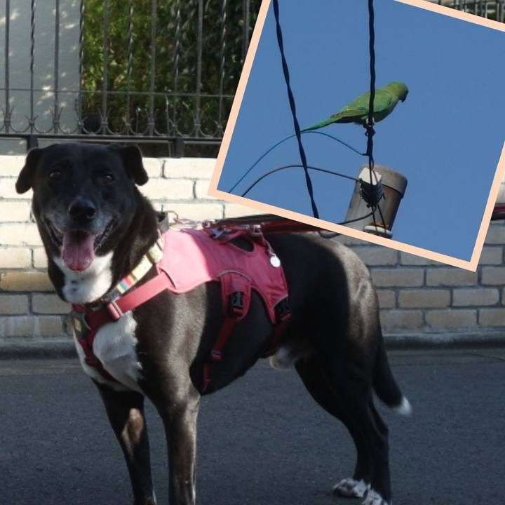 21b16810 9d90 41e9 8ef0 811e869d35b6 1697085286666