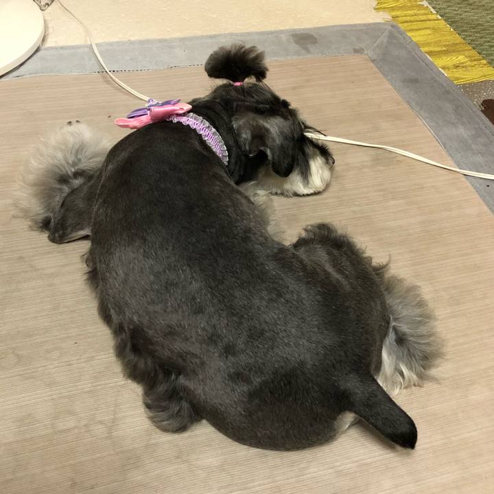 21b181ca a2ee 4c45 a317 c0f184b489e5 1655388318513