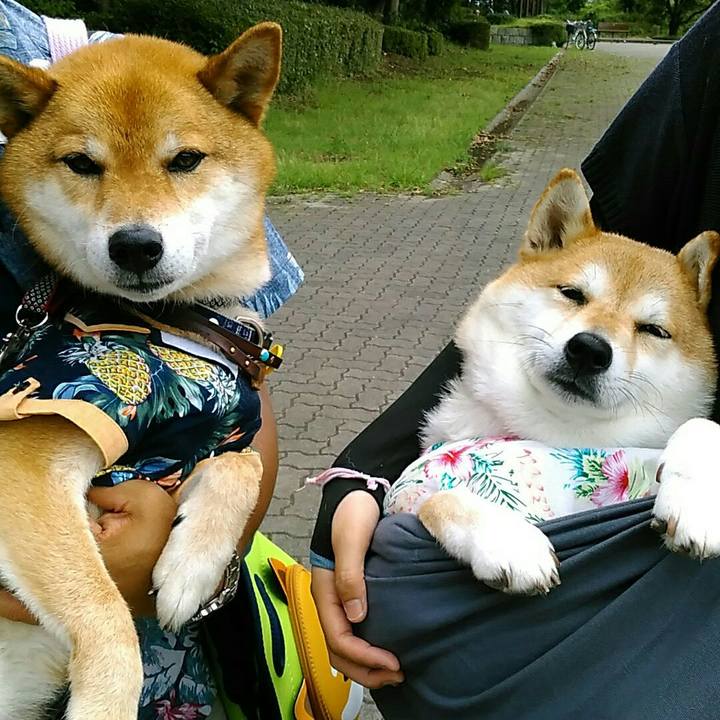 21b1cdfb 4e31 4db3 a98d 240fd8eefc2d 1563199723120