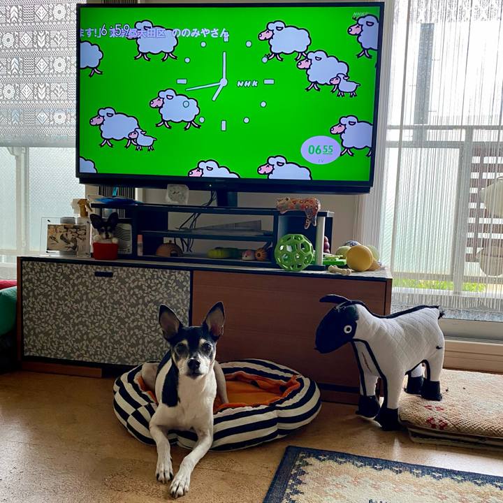 21b1d4e7 a4e6 4288 9a49 f206015b238f 1620338908908