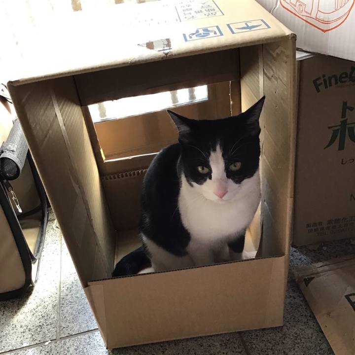 21b1ec71 c6cf 46f0 ad12 8da0c7dc1bc2 1647064725420