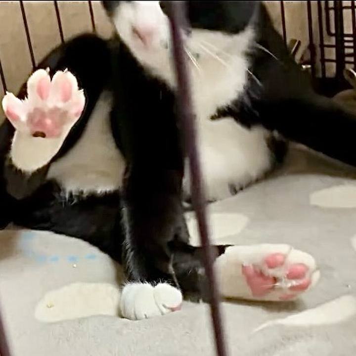 21b2015f 1532 428f 9fed 5a4712e74cf1 1761474637368