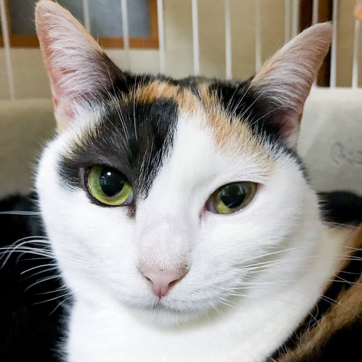 21b2084f d2dc 4d9a 97b5 1ac383f85e0f 1520038158954