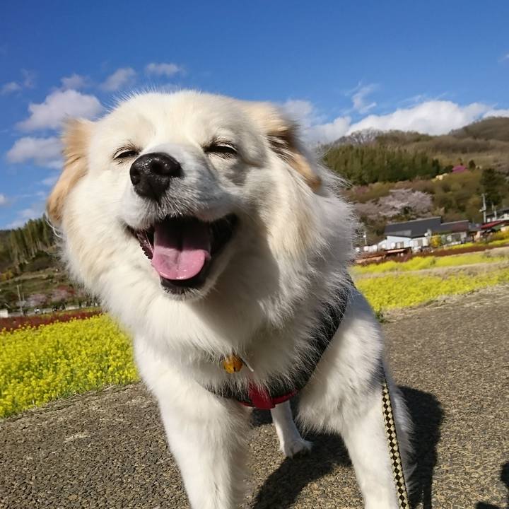 21b223e9 bbde 4206 a334 c7a67c851874 1523170332112