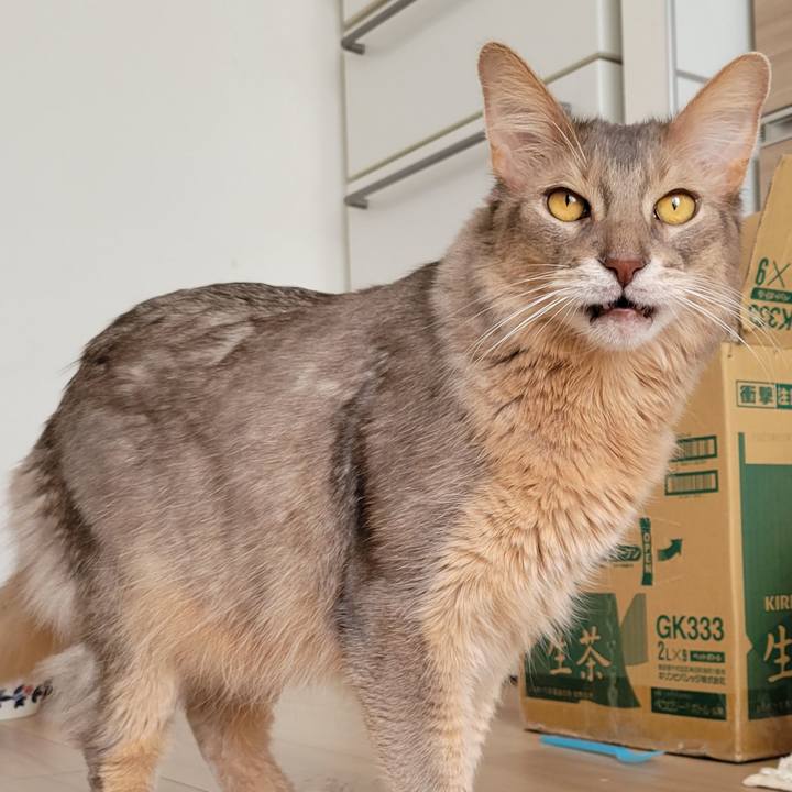 21b237ad d664 43b9 a4e9 7673fd531eb4 1670749892012