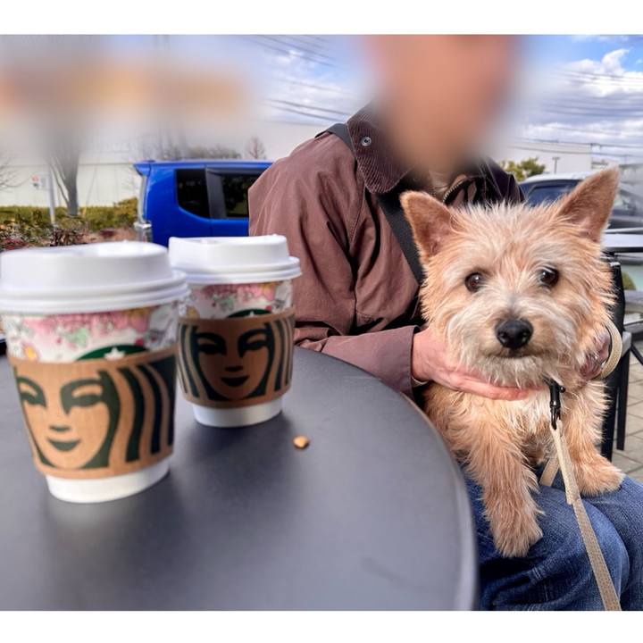 21b26ab3 0db9 4cb7 b59d bd18600206eb 1709380745229