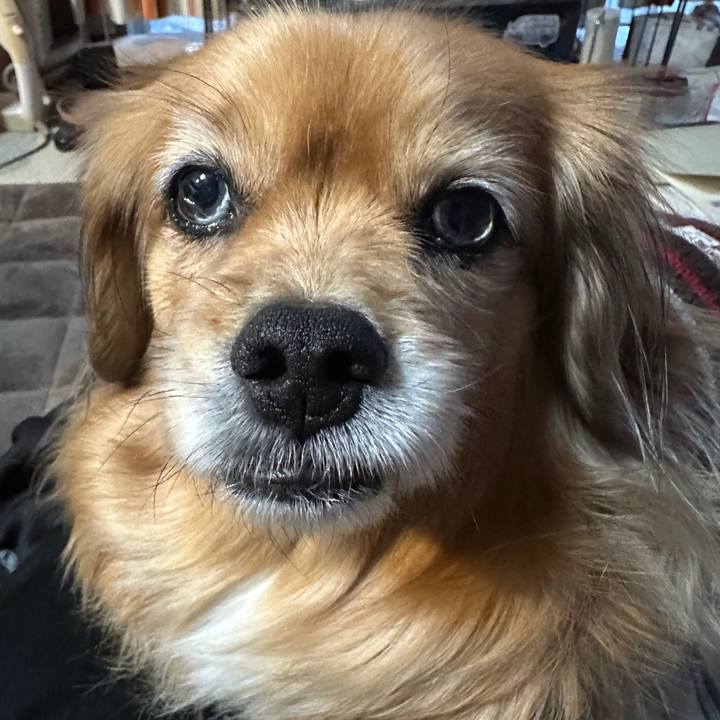 21b26abb ac3a 45fc aa27 8cde5015b3fa 1740692549575