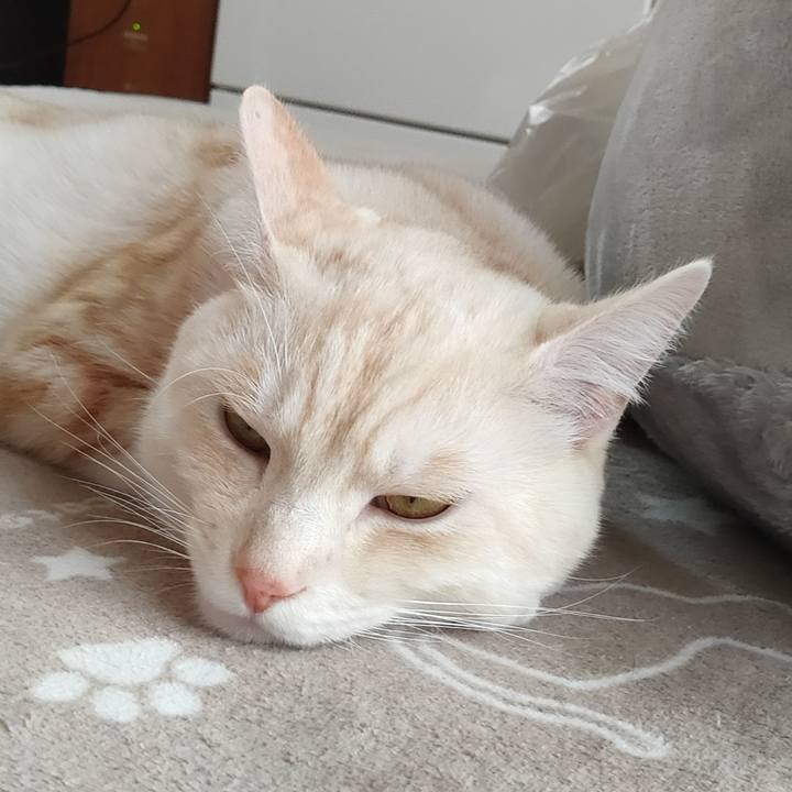 21b27656 0e6d 47e9 ab2f 04f428cd92a0 1679545429524