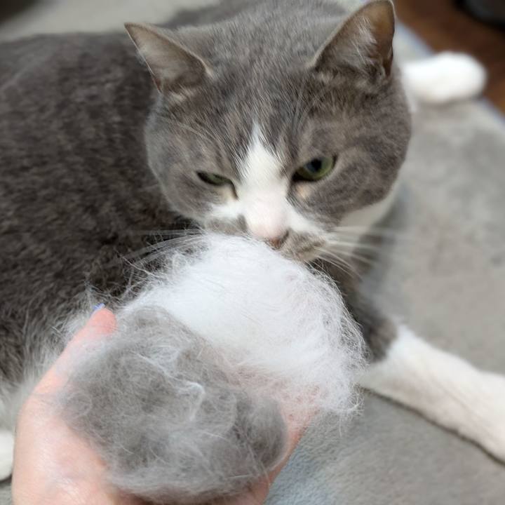 21b27d71 075f 48d6 be46 98397aec1baa 1747631354036