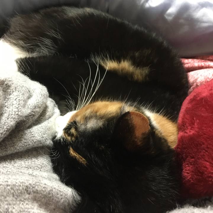 21b28bf8 52a4 4fe9 9ec6 85f3e4a12b92 1508329857101