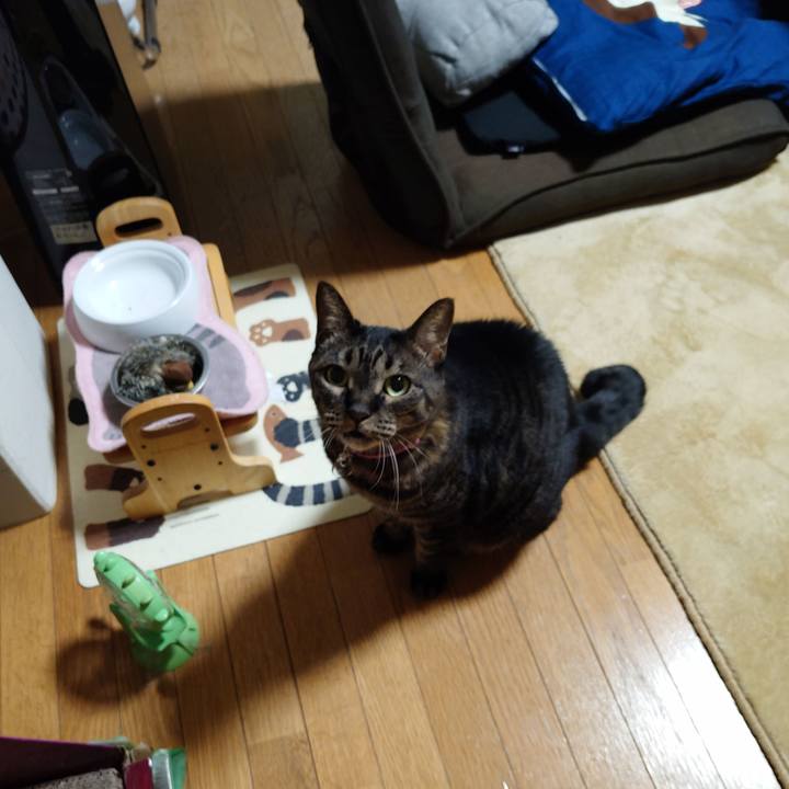 21b2ae53 2260 4579 b599 a7d54cf3c553 1774040269584