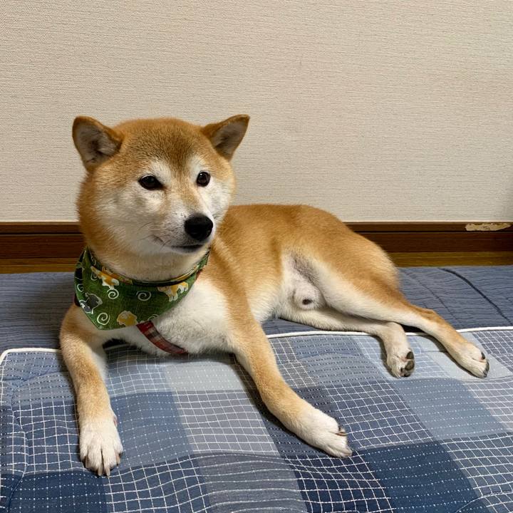 21b2c121 91cd 4c71 9670 dd5f6bbeae30 1564311101125