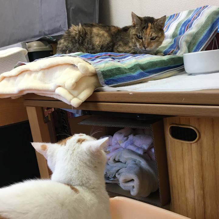 21b30d4f b2b4 4e30 9e8c 2df68d9c5f90 1580374211487