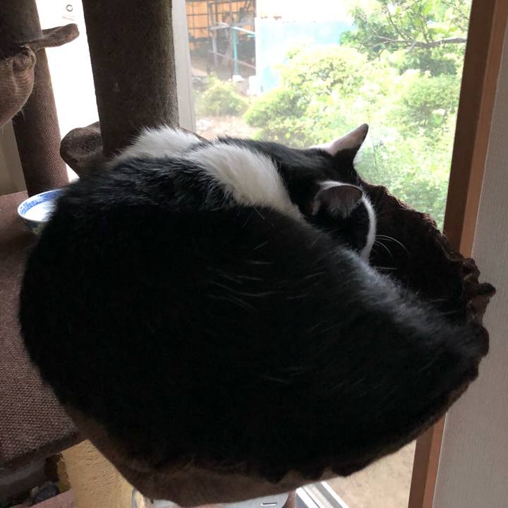 21b3159e 9bf9 4fc4 b396 1f17477c0f2a 1560070470398