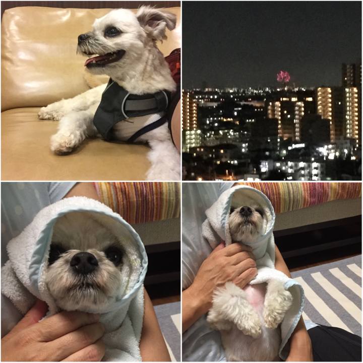 21b31caa 28a7 4915 b1c9 9d95d06244f8 1564830572663