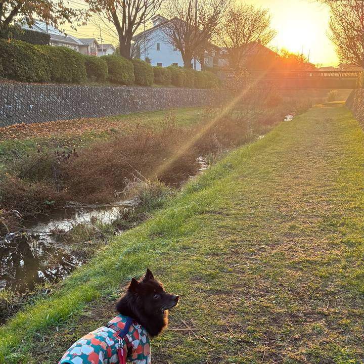 21b3816f 88a5 48c7 967b 77b97e673f26 1764287662238