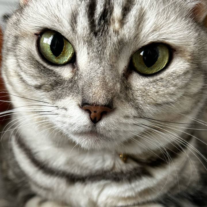 21b39537 ba43 4020 af12 1c67e4a3e991 1758666054796